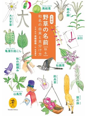 cover image of ヤマケイ文庫　野草の名前 秋冬 和名の由来と見分け方